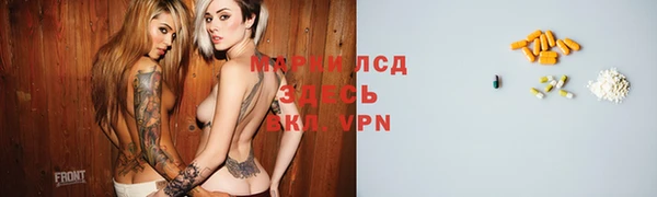 шишки Баксан
