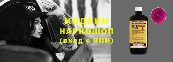 шишки Баксан