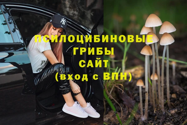 гашик Балабаново