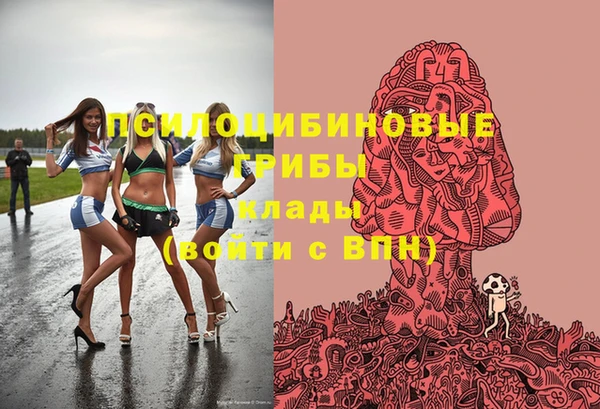 гашик Балабаново