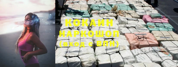 стаф Белокуриха