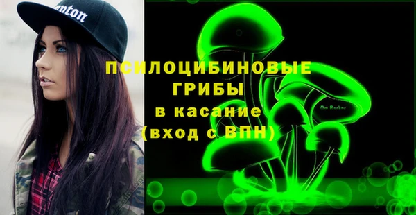 гашик Балабаново