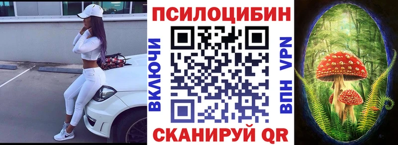 Галлюциногенные грибы Psilocybine cubensis  наркошоп  ОМГ ОМГ ТОР  Купино 